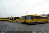 Viação Itapemirim FROTA na cidade de Belo Horizonte, Minas Gerais, Brasil, por Maurício Nascimento. Número da foto: #3388969.