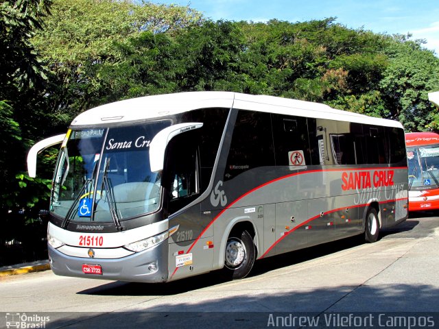 Viação Santa Cruz 215110 na cidade de São Paulo, São Paulo, Brasil, por Andrew Campos. Número da foto: #3389743.