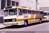 Gatti 30793 na cidade de São Paulo, São Paulo, Brasil, por Adalberto Mattera. Número da foto: #3389192.