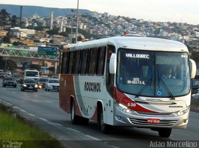 Rouxinol 530 na cidade de Belo Horizonte, Minas Gerais, Brasil, por Adão Raimundo Marcelino. ID da foto: 3395795.