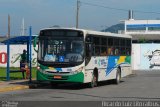 Viação Bertioga 916 na cidade de Bertioga, São Paulo, Brasil, por Ricardo Luiz. Número da foto: #3396123.