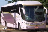 TransMargoo 1031 na cidade de Araxá, Minas Gerais, Brasil, por Lucas Borges . Número da foto: #3332283.