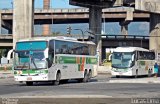 Cia. São Geraldo de Viação 14675 na cidade de Rio de Janeiro, Rio de Janeiro, Brasil, por Lucas Lima. Número da foto: #3332376.