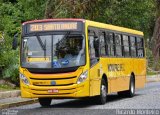 FAOL - Friburgo Auto Ônibus 017 na cidade de Nova Friburgo, Rio de Janeiro, Brasil, por Ricardo Silva Monteiro. Número da foto: #:id.
