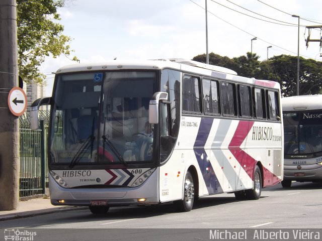 Hibisco Turismo 600 na cidade de São Paulo, São Paulo, Brasil, por Michael  Alberto Vieira. Número da foto: #3338131.