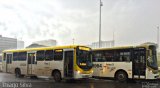 Viação Pioneira 223328 na cidade de Brasília, Distrito Federal, Brasil, por Thiago Silva . Número da foto: #3339892.