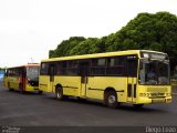 TUA - Transportes Urbanos Araçatuba 100 na cidade de Araçatuba, São Paulo, Brasil, por Diego Leão. Número da foto: #3338560.