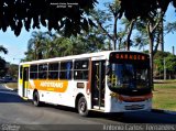 Autotrans > Turilessa 3960 na cidade de Ipatinga, Minas Gerais, Brasil, por Antonio Carlos Fernandes. Número da foto: #3340384.