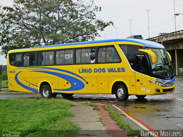 Viação Lírio dos Vales 11800 na cidade de Vitória, Espírito Santo, Brasil, por Danilo Moraes. Número da foto: #3343357.