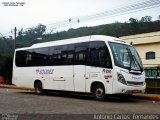 Solidez Transportes FD:8595 na cidade de João Monlevade, Minas Gerais, Brasil, por Antonio Carlos Fernandes. Número da foto: #3343408.