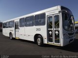 Auto Viação Critur 263 na cidade de Criciúma, Santa Catarina, Brasil, por Cleber  Mariot do Nascimento. Número da foto: #3343187.