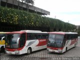 Empresa Irmãos Teixeira 44500 na cidade de Belo Horizonte, Minas Gerais, Brasil, por Fabrício Rodrigo Telles. Número da foto: #:id.