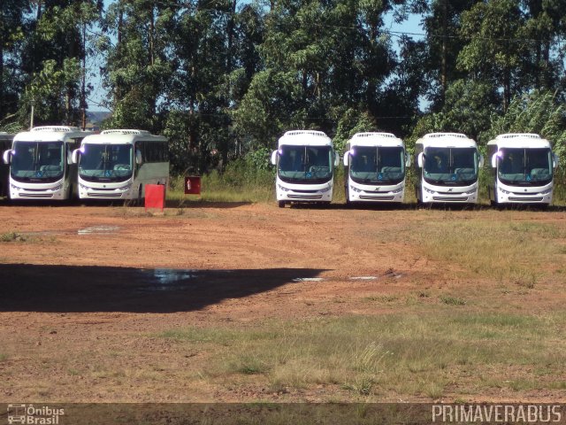 Comil Ônibus  na cidade de Erechim, Rio Grande do Sul, Brasil, por Alexandre Rodrigo. Número da foto: #3425229.