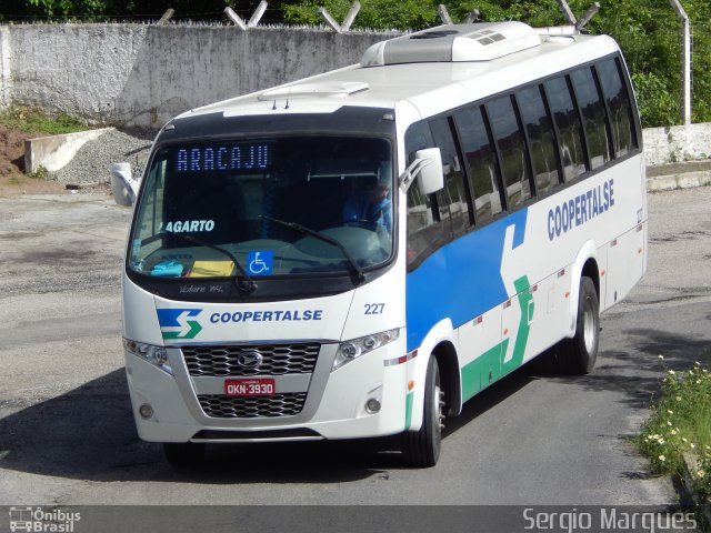 Coopertalse 227 na cidade de Aracaju, Sergipe, Brasil, por Sergio Marques . ID da foto: 3427559.