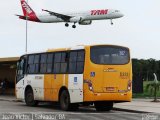 STEC - Subsistema de Transporte Especial Complementar D235 na cidade de Salvador, Bahia, Brasil, por João Victor. Número da foto: #3432082.