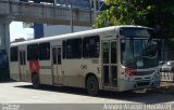 Borborema Imperial Transportes 041 na cidade de Recife, Pernambuco, Brasil, por André Luiz Araujo Silva. Número da foto: #:id.