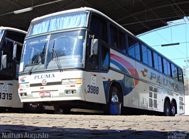 Pluma Conforto e Turismo 3988 na cidade de Londrina, Paraná, Brasil, por Nathan Augusto. Número da foto: #3439210.