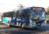 Auto Ônibus Fagundes RJ 101.359 na cidade de Niterói, Rio de Janeiro, Brasil, por Carlos Bernardes. Número da foto: #:id.