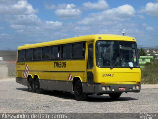 Viação Itapemirim 20443 na cidade de Caruaru, Pernambuco, Brasil, por Alessandro de Bem Barros. ID da foto: 3403895.