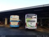 Transbrasiliana Transportes e Turismo 651031 na cidade de Taguatinga, Distrito Federal, Brasil, por William  Borges. Número da foto: #3446576.