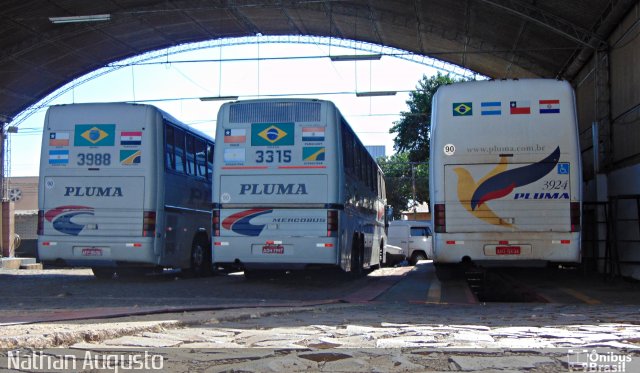 Pluma Conforto e Turismo 3924 na cidade de Londrina, Paraná, Brasil, por Nathan Augusto. ID da foto: 3451119.