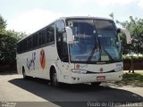Sango Transportes Turísticos 880 na cidade de Hortolândia, São Paulo, Brasil, por Paulo de Oliveira Ribeiro. Número da foto: #3450181.