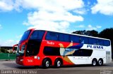 Pluma Conforto e Turismo 7006 na cidade de Curitiba, Paraná, Brasil, por Danilo Marcelo Silva. Número da foto: #3451630.