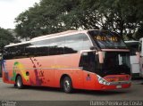 Chilebus Internacional 223  na cidade de São Paulo, São Paulo, Brasil, por Dalmo Pereira da Costa. ID da foto: :id.