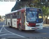 Transwolff Transportes e Turismo 7 8768 na cidade de São Paulo, São Paulo, Brasil, por Roberto Teixeira. Número da foto: #3462694.