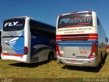 Nativio Turismo 1429 na cidade de Tambaú, São Paulo, Brasil, por Pedro Locatelli. Número da foto: #3461335.