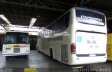 Viação Itapemirim 8203 na cidade de Belo Horizonte, Minas Gerais, Brasil, por Maurício Nascimento. Número da foto: #3465085.