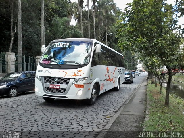 Feline Tur 807 na cidade de Petrópolis, Rio de Janeiro, Brasil, por Zé Ricardo Reis. Número da foto: #3465461.