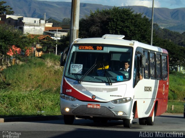 Rouxinol 045 na cidade de Belo Horizonte, Minas Gerais, Brasil, por Adão Raimundo Marcelino. ID da foto: 3407994.