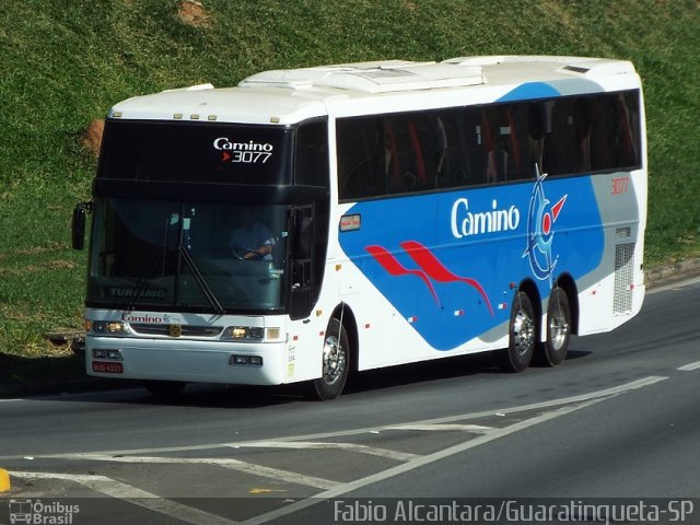 Camino Transportes 3077 na cidade de Aparecida, São Paulo, Brasil, por Fabio Alcantara. Número da foto: #3408785.