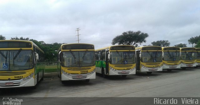 Viplan - Viação Planalto 133299 na cidade de SIA, Distrito Federal, Brasil, por Ricardo Vieira. Número da foto: #3413453.