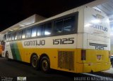 Empresa Gontijo de Transportes 15125 na cidade de Belo Horizonte, Minas Gerais, Brasil, por Maurício Nascimento. Número da foto: #3416370.
