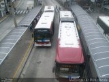 Terminais Rodoviários e Urbanos TERMINAL BANDEIRA-SAO PAULO-SP na cidade de São Paulo, São Paulo, Brasil, por Matheus de Melo Bento. Número da foto: #3421968.