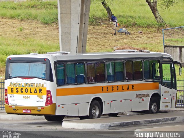 Águia Dourada 2054 na cidade de Aracaju, Sergipe, Brasil, por Sergio Marques . Número da foto: #3471868.