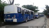 Transportadora Globo 023 na cidade de Recife, Pernambuco, Brasil, por Diego Silva. Número da foto: #3490925.
