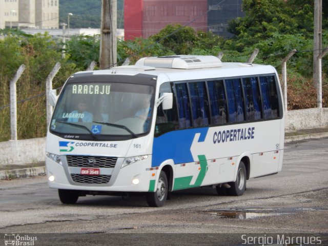 Coopertalse 161 na cidade de Aracaju, Sergipe, Brasil, por Sergio Marques . ID da foto: 3493739.