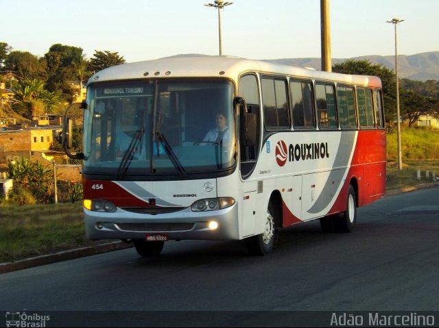 Rouxinol 454 na cidade de Belo Horizonte, Minas Gerais, Brasil, por Adão Raimundo Marcelino. ID da foto: 3494799.