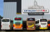 Poloni Turismo 3400 na cidade de Goiânia, Goiás, Brasil, por Carlos Júnior. Número da foto: #3494189.