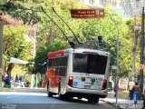 Himalaia Transportes > Ambiental Transportes Urbanos 4 1773 na cidade de São Paulo, São Paulo, Brasil, por Caio  Takeda. Número da foto: #3493768.