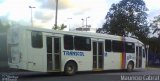 Transcol - Transportes Coletivos Ltda. 555 na cidade de Recife, Pernambuco, Brasil, por Mauricio Cabral. Número da foto: #:id.