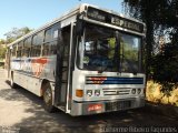 Viação Teresópolis 117 na cidade de Teresópolis, Rio de Janeiro, Brasil, por Guilherme Ribeiro Fagundes. Número da foto: #3497600.