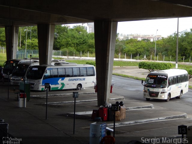 Coopetaju 1219 na cidade de Aracaju, Sergipe, Brasil, por Sergio Marques . ID da foto: 3502305.