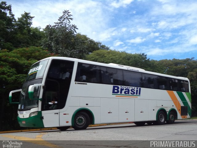Trans Brasil > TCB - Transporte Coletivo Brasil 2020 na cidade de São Paulo, São Paulo, Brasil, por Alexandre Rodrigo. Número da foto: #3504402.
