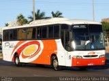 Viação Platina 8570 na cidade de Uberlândia, Minas Gerais, Brasil, por Vanderlei da Costa Silva Filho. Número da foto: #:id.
