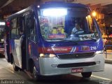 Tucuruvi Transportes e Turismo 216 na cidade de São Caetano do Sul, São Paulo, Brasil, por Gabriel Rossi . Número da foto: #3506356.