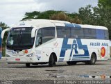 Falcão Real 23140 na cidade de Capim Grosso, Bahia, Brasil, por Ícaro Chagas. Número da foto: #3505644.